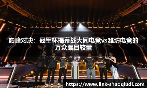 说球帝体育直播APP