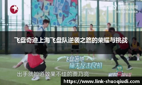 飞盘奇迹上海飞盘队逆袭之路的荣耀与挑战